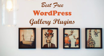 23 Best Free WordPress Gallery Plugins 2023